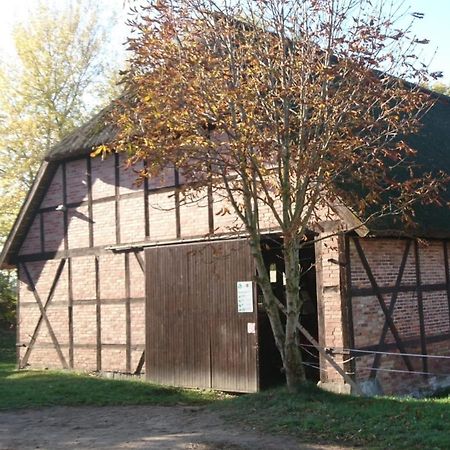 Reiterhof Gross Stubben Apartment Poseritz Exterior photo